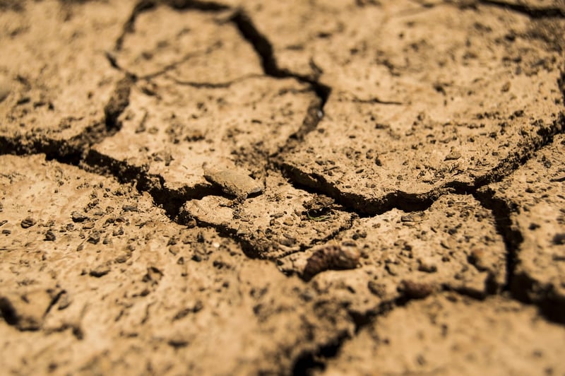 Soil Health